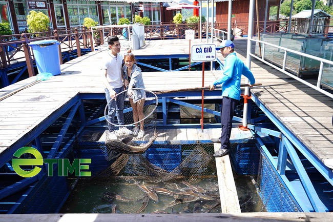 Quảng Ninh: Thành lập Khu rừng đặc dụng Vịnh Hạ Long - Ảnh 4.