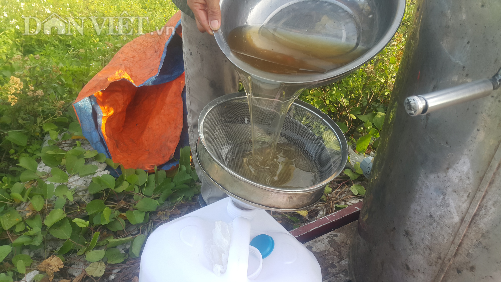 Ninh Bình: U 80 đưa quân đi tìm vị ngọt của biển, kiếm tiền triệu mỗi ngày - Ảnh 5.