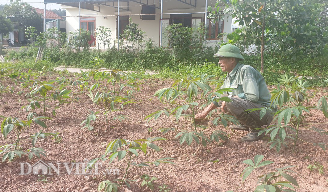 Huyện làm dự án “chui”, xã hứa “hão” khiến nông dân mất đất - Ảnh 1.