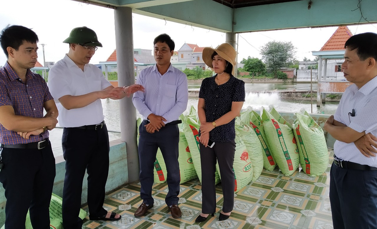 HND Hải Phòng: Khảo sát tình hình sản xuất và đời sống của nông dân sau dịch Covid-19 - Ảnh 1.
