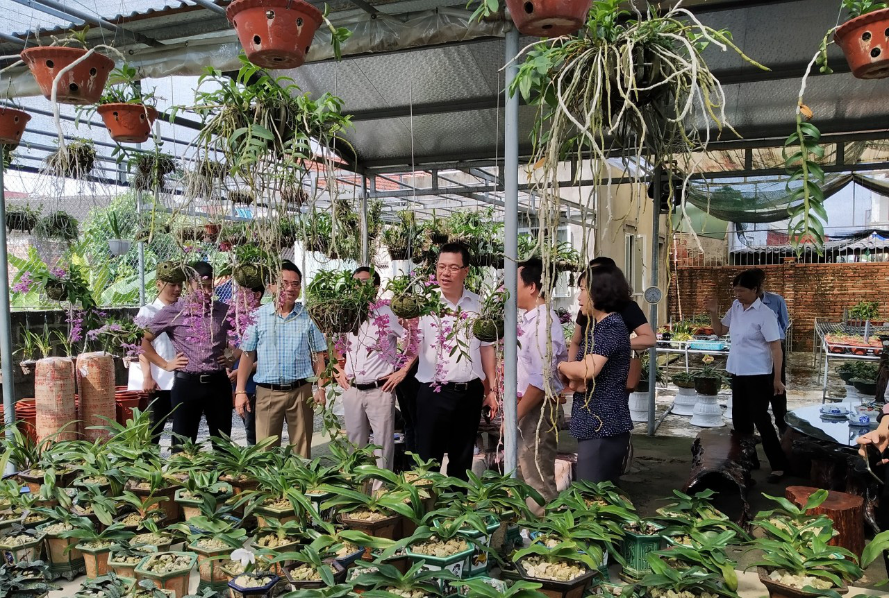 HND Hải Phòng: Khảo sát tình hình sản xuất và đời sống của nông dân sau dịch Covid-19 - Ảnh 2.