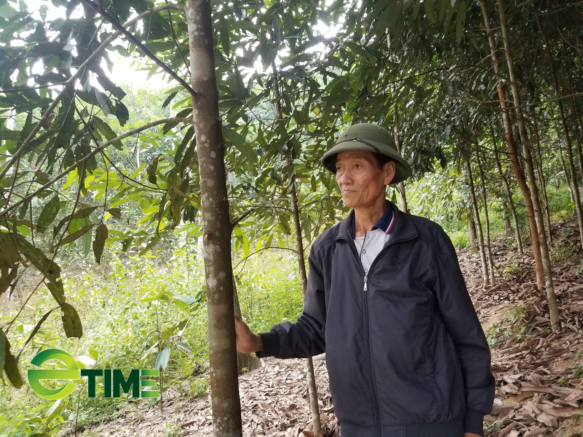 Lạng Sơn: Tập trung phát triển chuỗi giá trị 4 sản phẩm nông nghiệp chủ lực - Ảnh 2. Lạng Sơn: Tập trung phát triển chuỗi giá trị 4 sản phẩm nông nghiệp chủ lực - Ảnh 2.