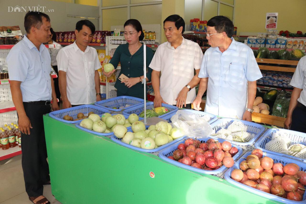 Nam Định: Cho tôm “ở chung nhà” với cá, nông dân thành tỷ phú - Ảnh 3.