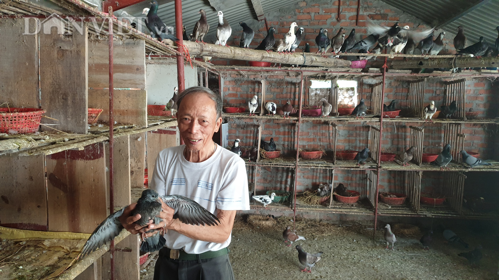 Thái Bình: Thương binh cụt 1 chân, 85 tuổi vẫn miệt mài làm kinh tế - Ảnh 1.