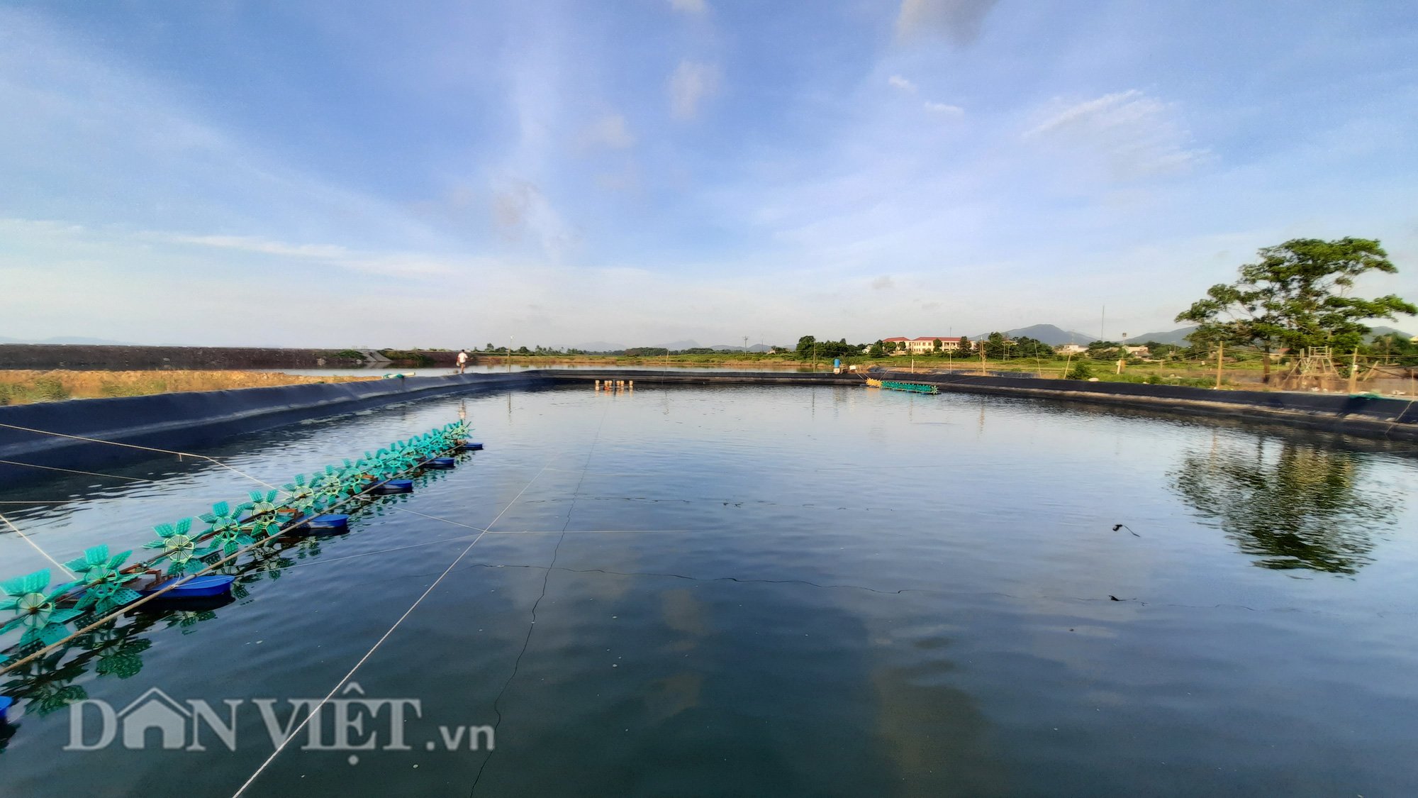 NUÔI VỊT, THẢ TÔM CHO THU NHẬP CAO, CÓ BAO NHIÊU THƯƠNG LÁI CŨNG MUA SẠCH - Ảnh 6.