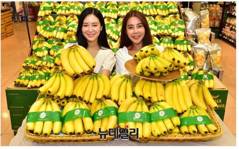 Bầu Đức xuất chuối vào 2 thị trường khó tính - Ảnh 1. Bầu Đức xuất chuối vào 2 thị trường khó tính - Ảnh 1.