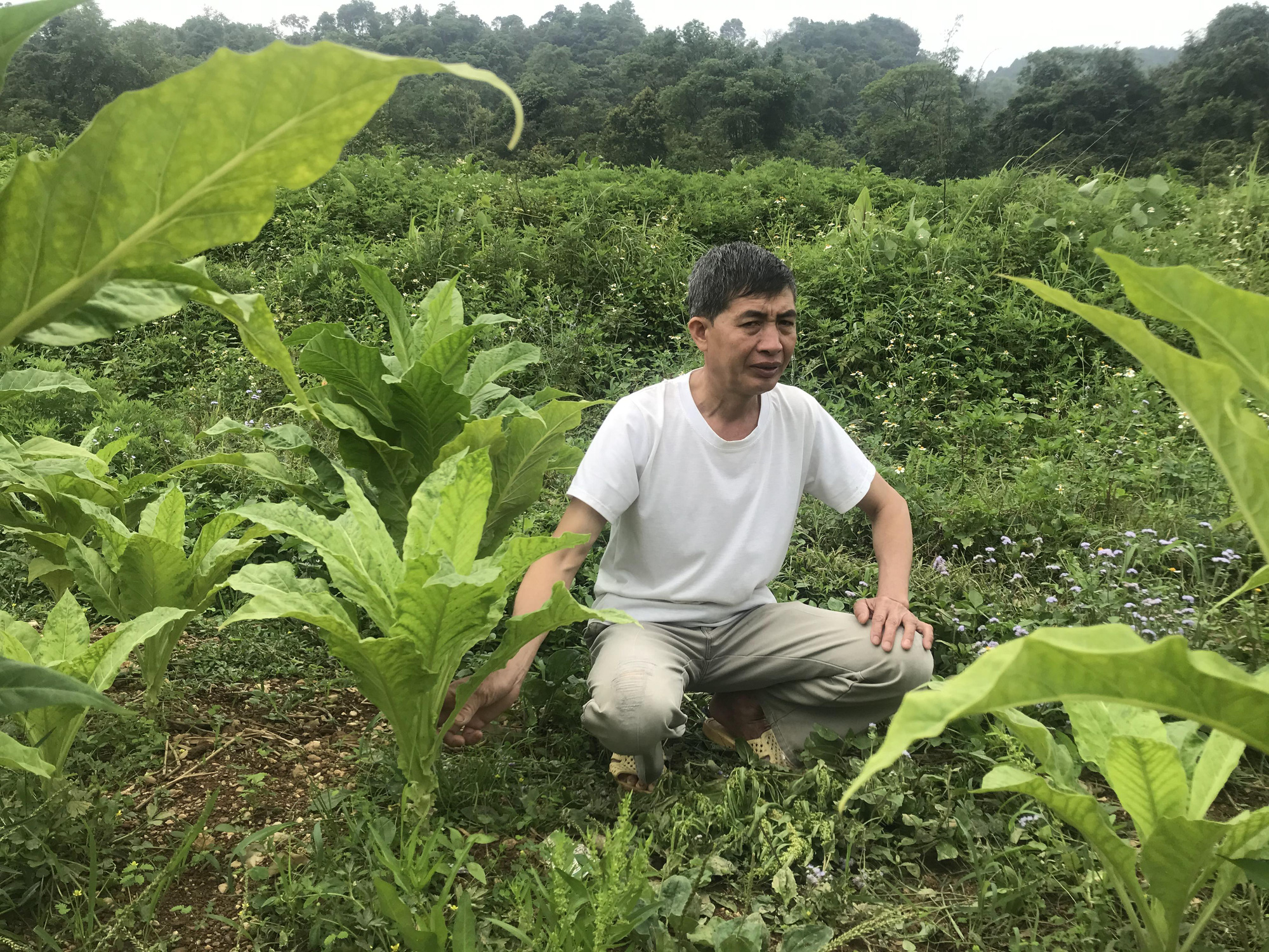 Nguy cơ gia tăng hộ nghèo do tác động kép từ Covid-19, hạn hán: Nỗi lo tái nghèo sau thiên tai  - Ảnh 2.