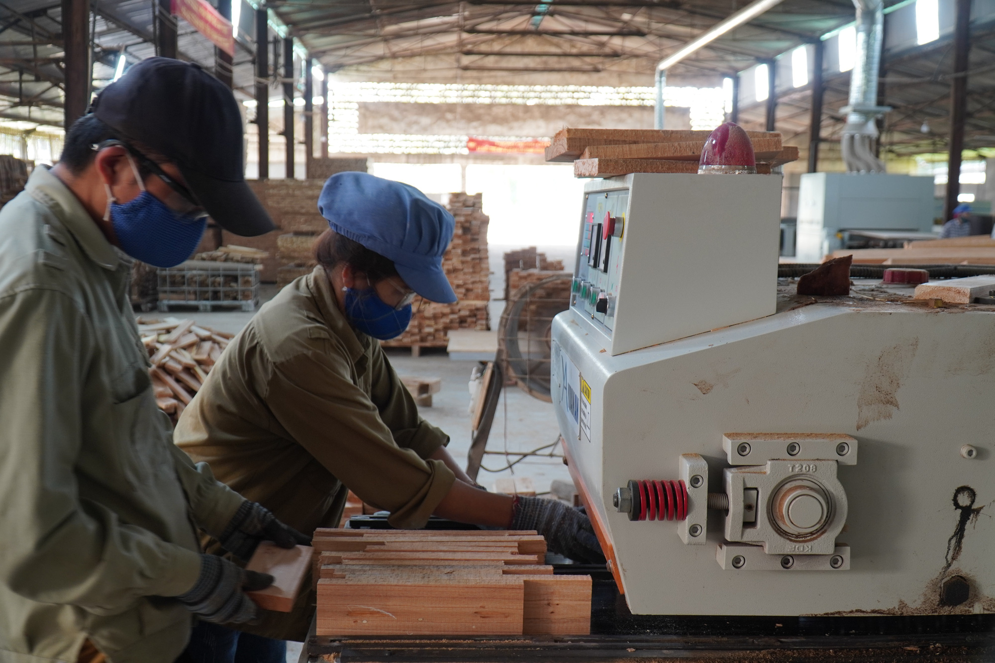(Báo giấy) Đủ “đất” để xuất khẩu gỗ đạt 11 tỷ USD - Ảnh 1.