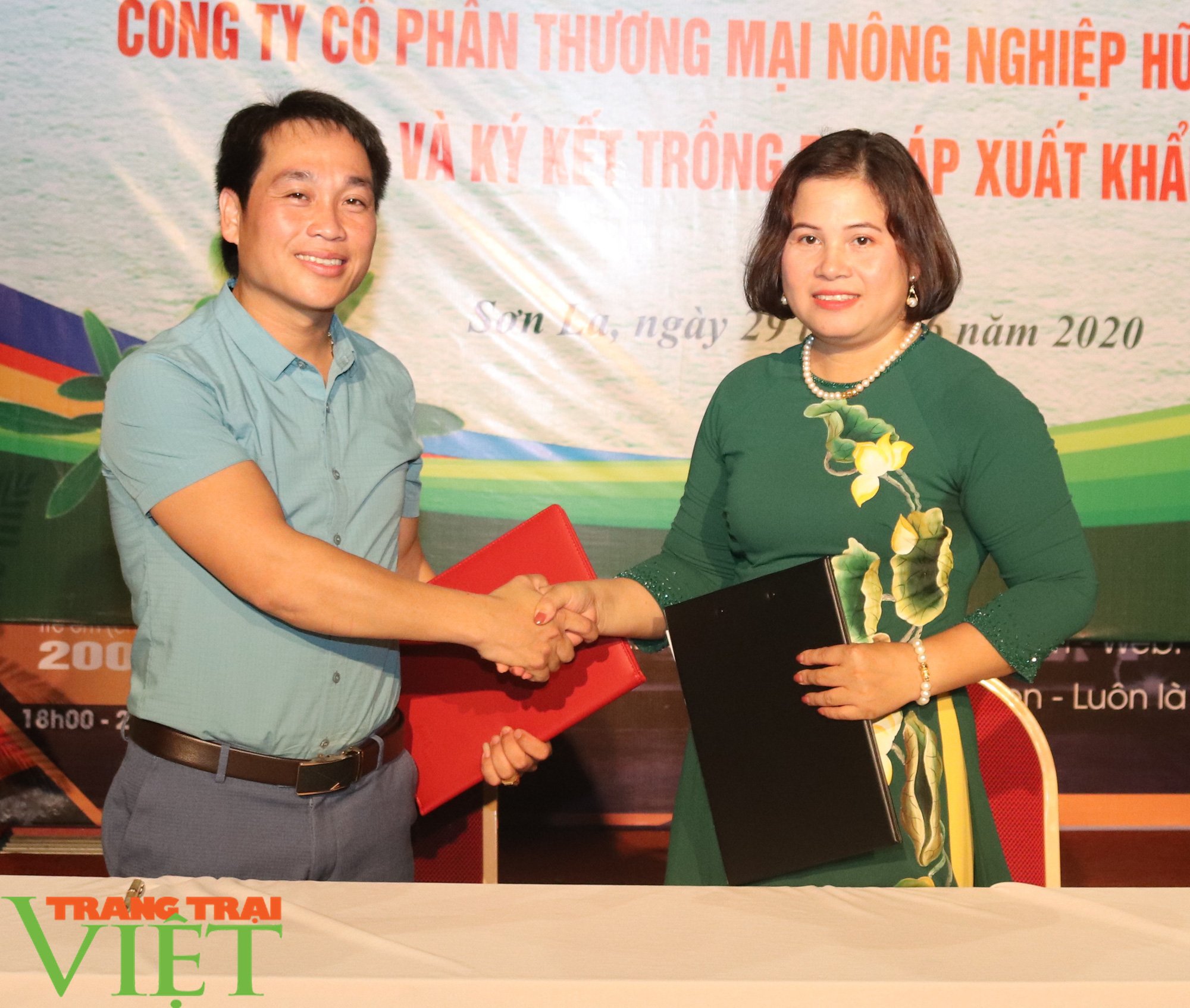 &quot;Trồng 1ha bơ sáp Mã Dưỡng, thu gần 700 triệu đồng mỗi năm&quot; - Ảnh 4.
