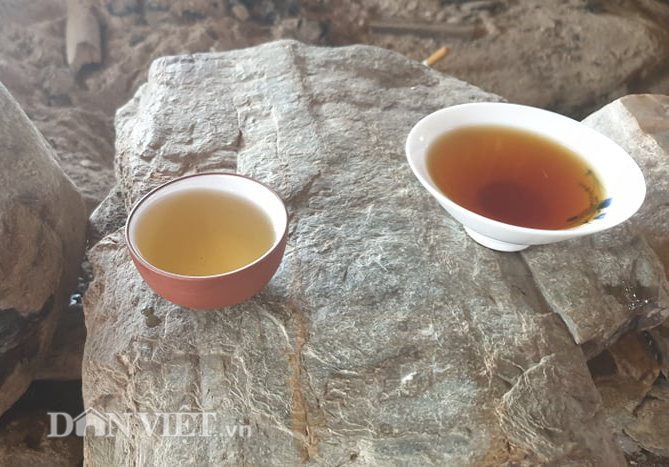 Tiệc trà shan tuyết cổ thụ đặc biệt trên đỉnh Suối Giàng - Ảnh 6.