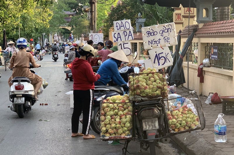 Sự thật về đào Sa Pa có giá 15.000 đồng/kg? - Ảnh 1. Sự thật về đào Sa Pa có giá 15.000 đồng/kg? - Ảnh 1.