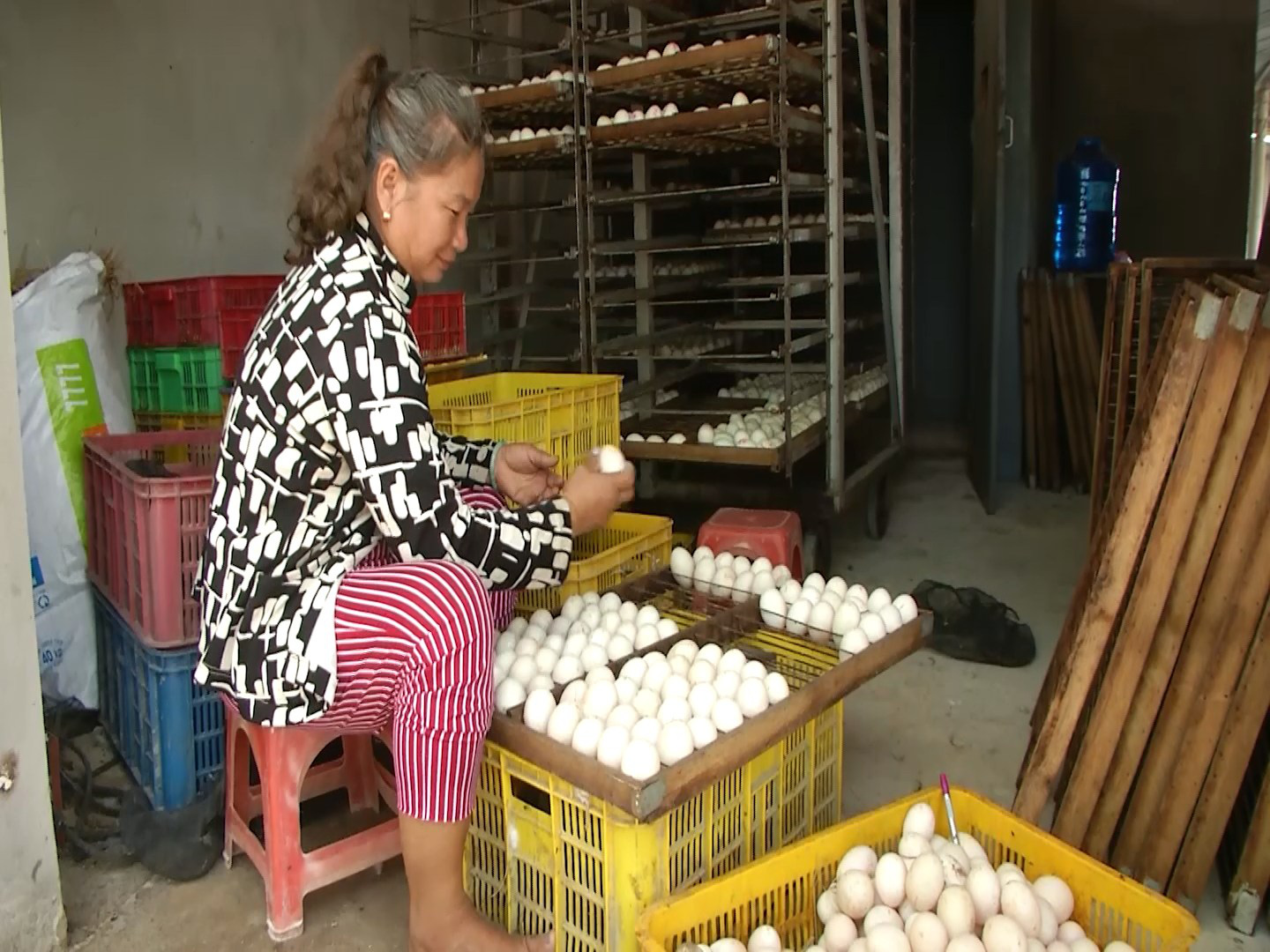 Agribank Chi nhánh Hồng Dân – Bạc Liêu đồng hành cùng Tam Nông - Ảnh 3. Agribank Chi nhánh Hồng Dân – Bạc Liêu đồng hành cùng Tam Nông - Ảnh 3.