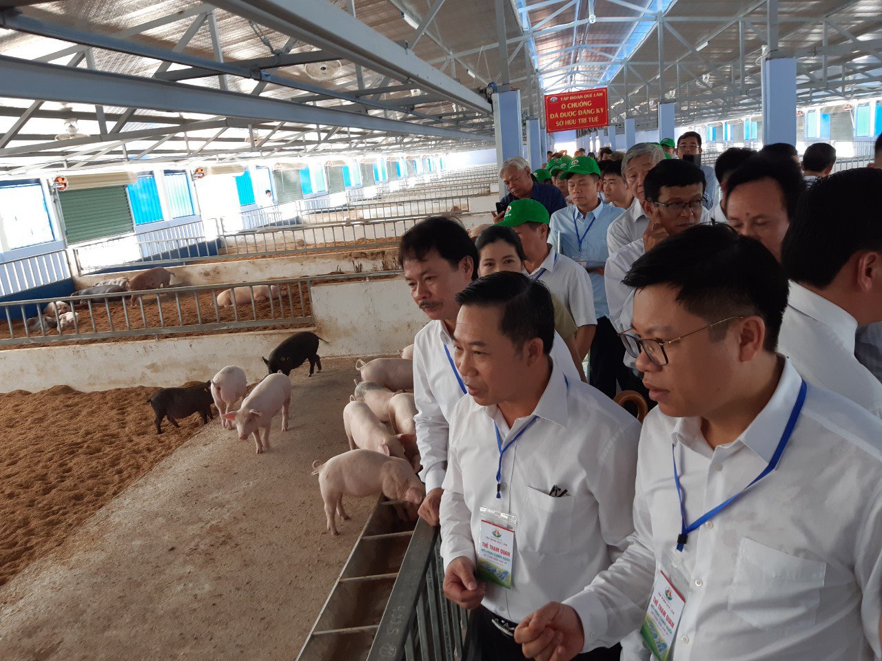 Ra mắt dự án 700 tỷ hiện thực hóa “kinh tế tuần hoàn trong nông nghiệp” - Ảnh 4. Ra mắt dự án 700 tỷ hiện thực hóa “kinh tế tuần hoàn trong nông nghiệp” - Ảnh 4.