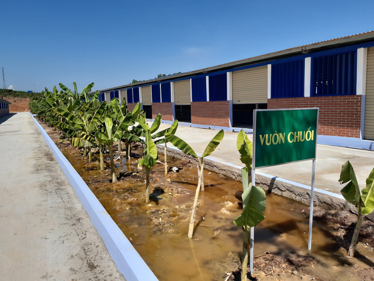 Ra mắt dự án 700 tỷ hiện thực hóa “kinh tế tuần hoàn trong nông nghiệp” - Ảnh 6. Ra mắt dự án 700 tỷ hiện thực hóa “kinh tế tuần hoàn trong nông nghiệp” - Ảnh 6.