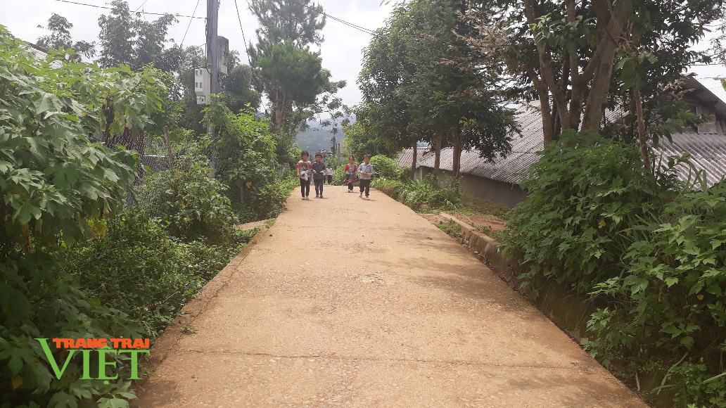 Tam Đường: Khơi sức dân xây dựng nông thôn mới - Ảnh 2. Tam Đường: Khơi sức dân xây dựng nông thôn mới - Ảnh 2.