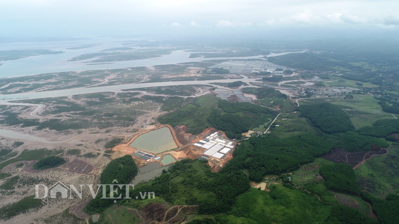 Dự án nuôi tôm công nghệ cao ở Quảng Ninh: Sản xuất 1 tỷ con giống trong năm 2020 - Ảnh 1. Dự án nuôi tôm công nghệ cao ở Quảng Ninh: Sản xuất 1 tỷ con giống trong năm 2020 - Ảnh 1.
