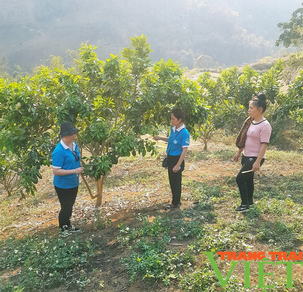 Sơn La: Nhiều cách làm hay, hiệu quả trong học tập và làm theo tư tưởng, đạo đức, phong cách Hồ Chí Minh - Ảnh 6. Sơn La: Nhiều cách làm hay, hiệu quả trong học tập và làm theo tư tưởng, đạo đức, phong cách Hồ Chí Minh - Ảnh 6.