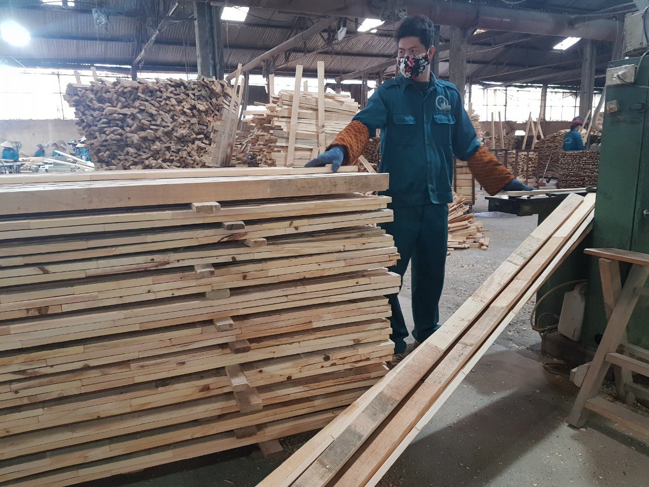 Bị coi là sản phẩm sơ chế, ván ghép thanh ùn tắc tại cảng - Ảnh 2.