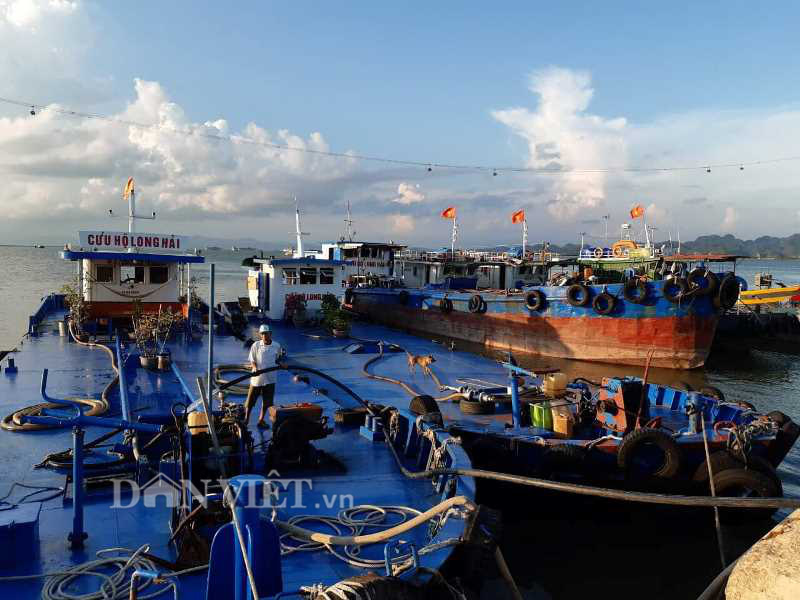 Quảng Ninh: Đã đưa được nước sạch ổn định trở lại khu du lịch Bãi Cháy - Ảnh 1.