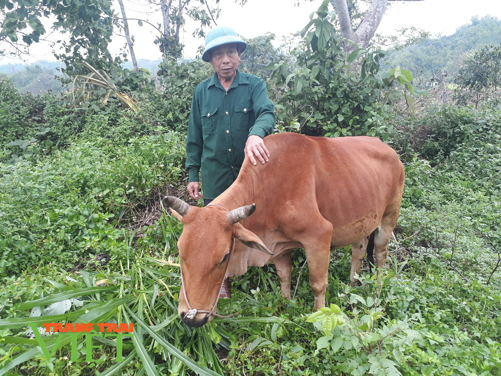 Cách làm nông thôn mới ở huyện nghèo Nậm Nhùn - Ảnh 2. Cách làm nông thôn mới ở huyện nghèo Nậm Nhùn - Ảnh 2.