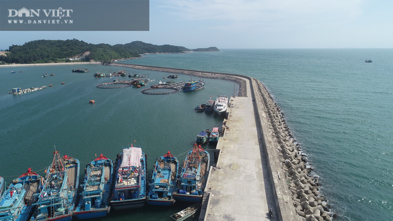 Khu neo đậu tránh trú bão Vân Đồn: Thi công ẩu, mất an toàn, nguy cơ chậm tiến độ - Ảnh 4.