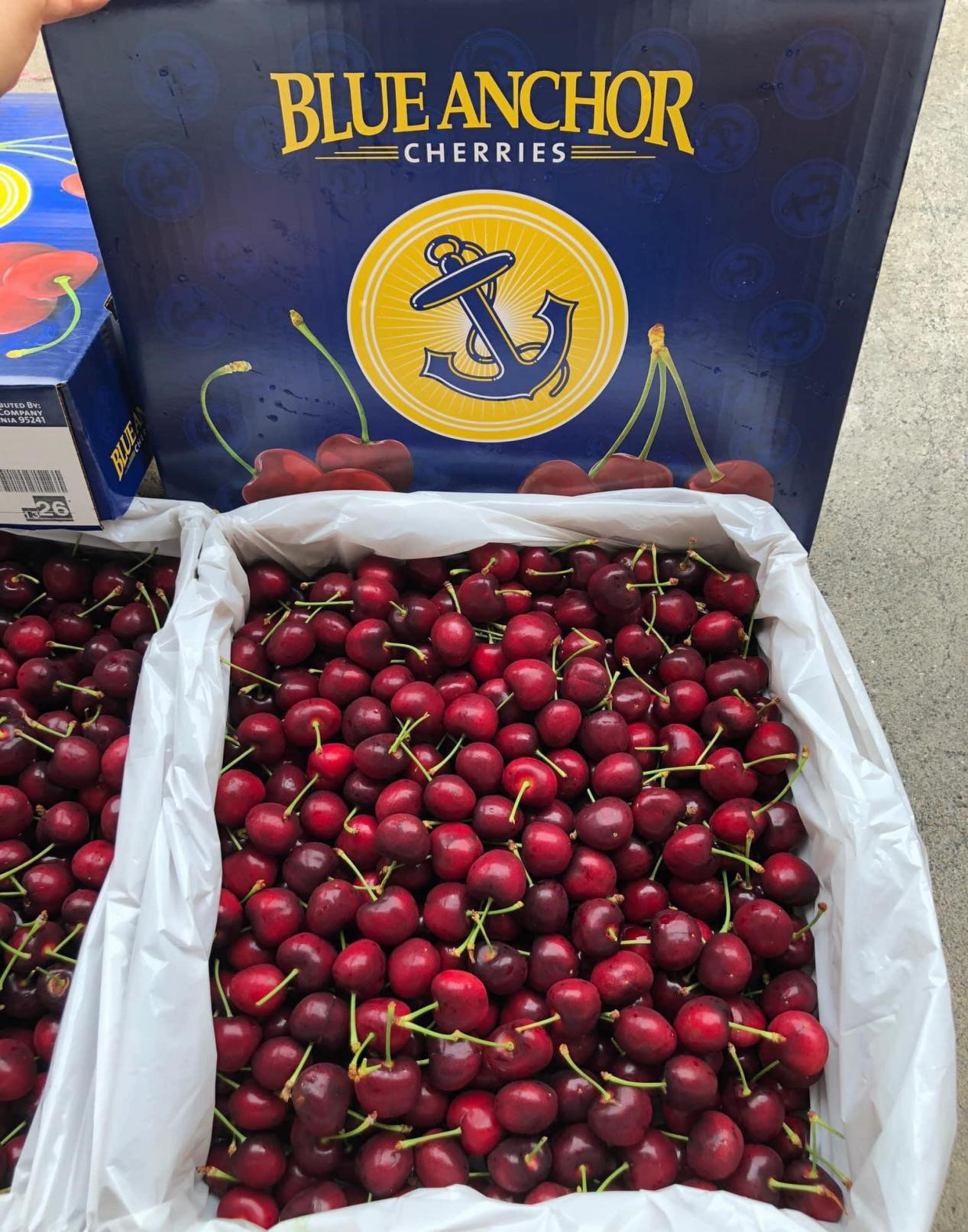 GIÁ CHERRY GIẢM MẠNH HƠN 40% - Ảnh 2. GIÁ CHERRY GIẢM MẠNH HƠN 40% - Ảnh 2.