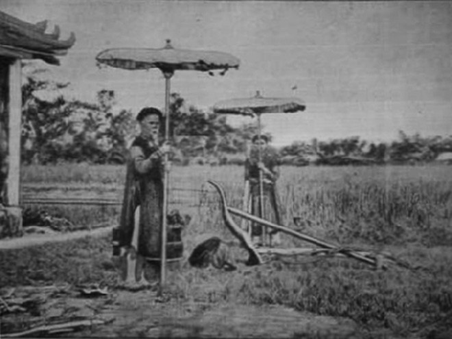 Lễ Tịch điền ở nước ta bắt buộc vua phải đi... cày ruộng - Ảnh 1.