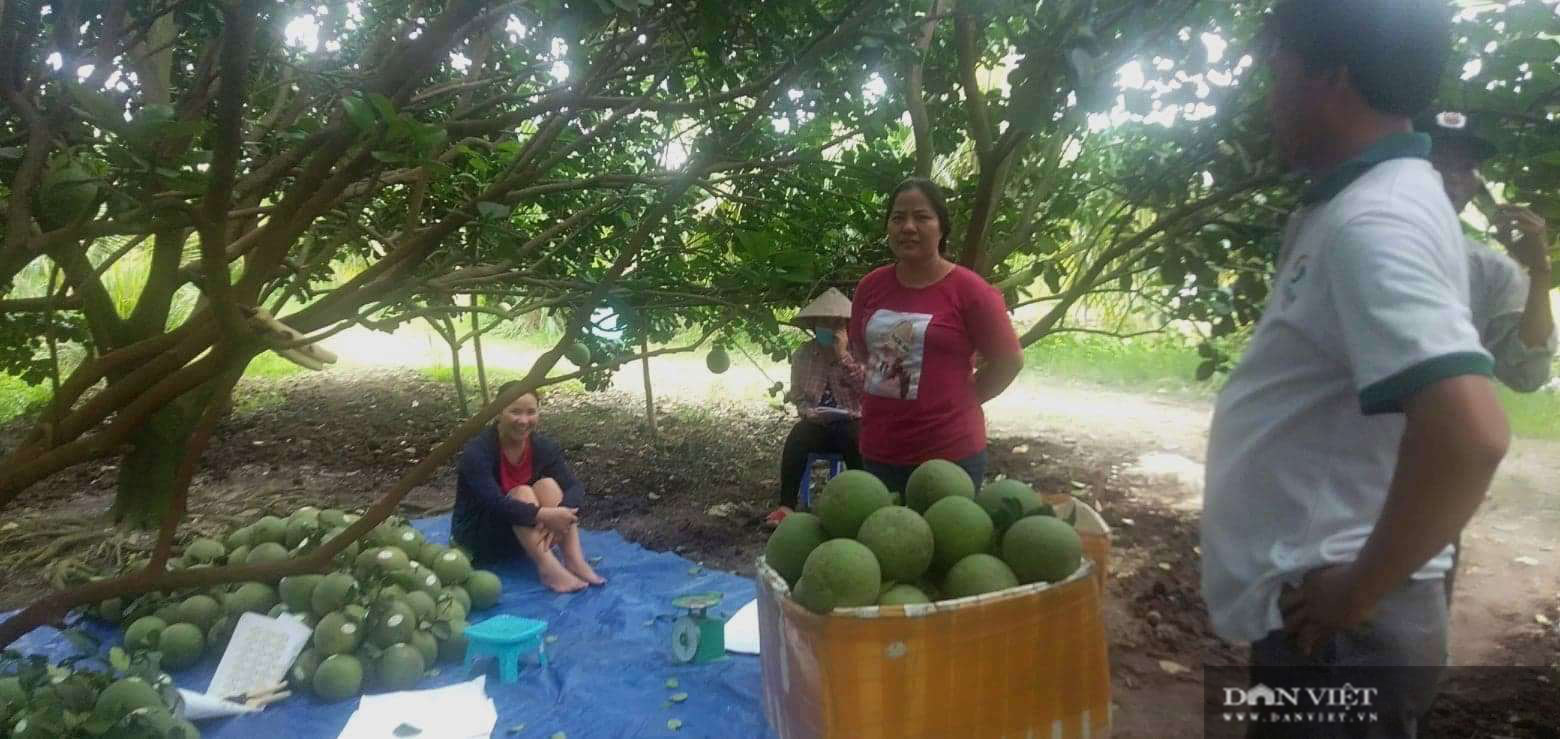 Lạ: Làm công trang trại được chia thưởng hàng trăm triệu đồng/năm - Ảnh 3.
