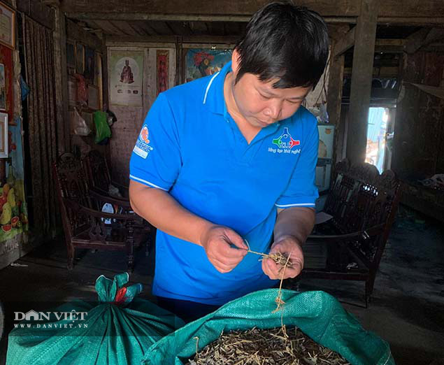 Bắc Kạn: Khởi nghiệp từ cây dược liệu, hướng đi nhiều triển vọng - Ảnh 2.