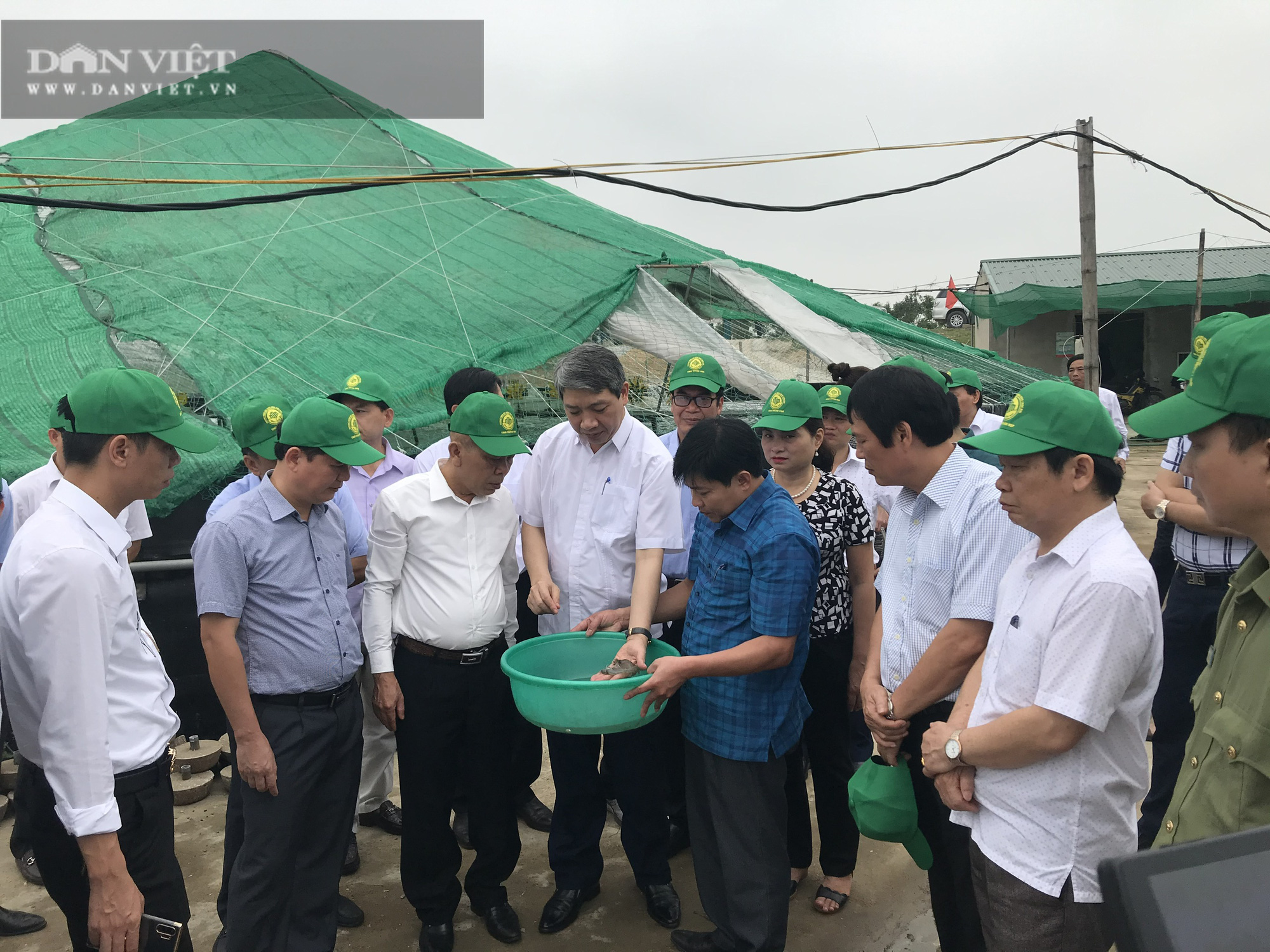 Thanh Hóa: Gần 800 doanh nghiệp nông nghiệp chuyển mình theo hướng công nghệ cao - Ảnh 3. Thanh Hóa: Gần 800 doanh nghiệp nông nghiệp chuyển mình theo hướng công nghệ cao - Ảnh 3.