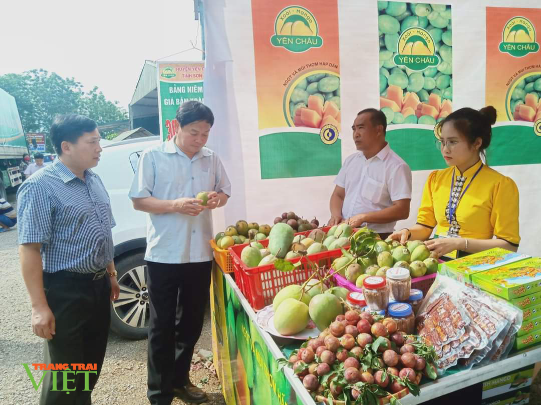 Sơn La: Đất dốc xanh màu cây ăn quả - Ảnh 3. Sơn La: Đất dốc xanh màu cây ăn quả - Ảnh 3.
