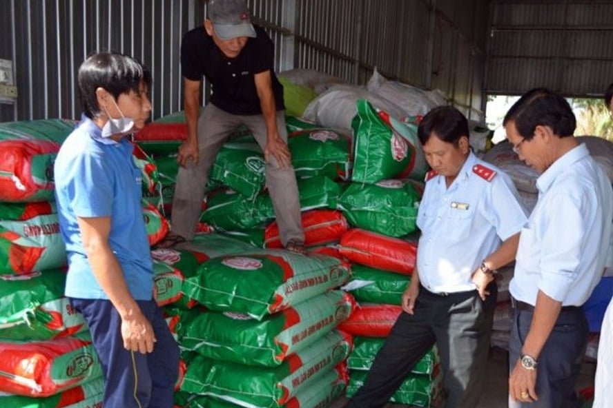 Bạc Liêu: Phạt nặng 2 đơn vị bán lúa giống ST24 không rõ nguồn gốc - Ảnh 1. Bạc Liêu: Phạt nặng 2 đơn vị bán lúa giống ST24 không rõ nguồn gốc - Ảnh 1.