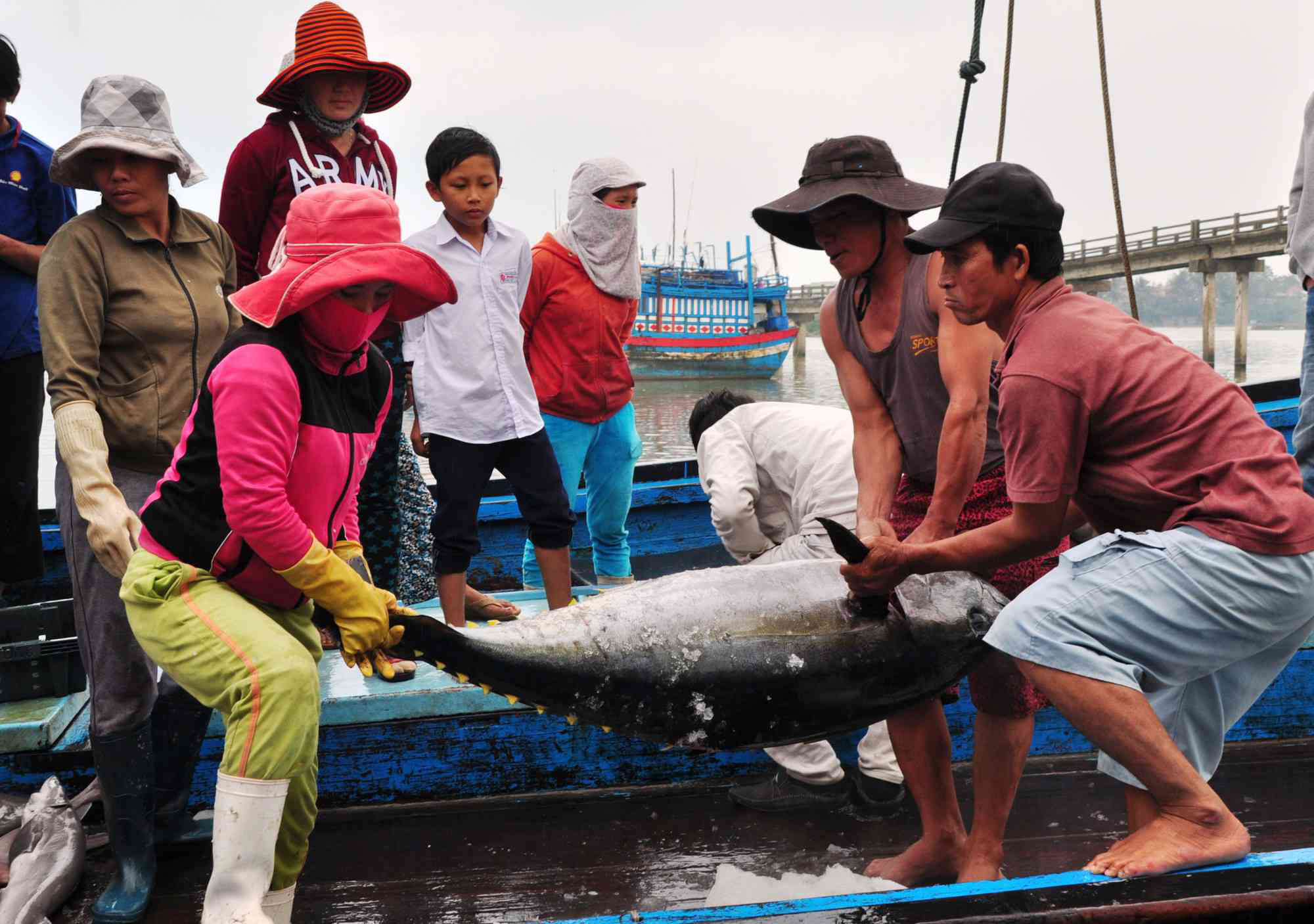Gỡ “thẻ vàng” của EU: Mạnh tay xử lý tàu cá vi phạm vùng biển nước ngoài - Ảnh 2.