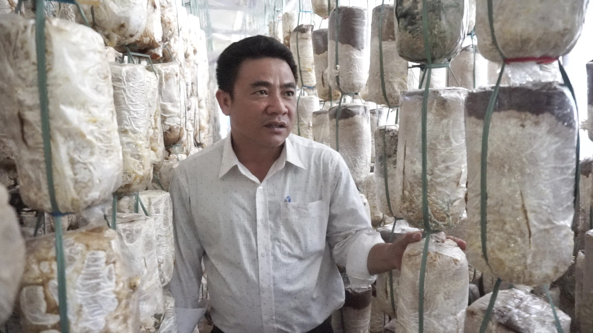 Đà Nẵng: Kỹ sư “hái” vài trăm triệu mỗi năm nhờ cực phẩm chân ngắn  - Ảnh 4.