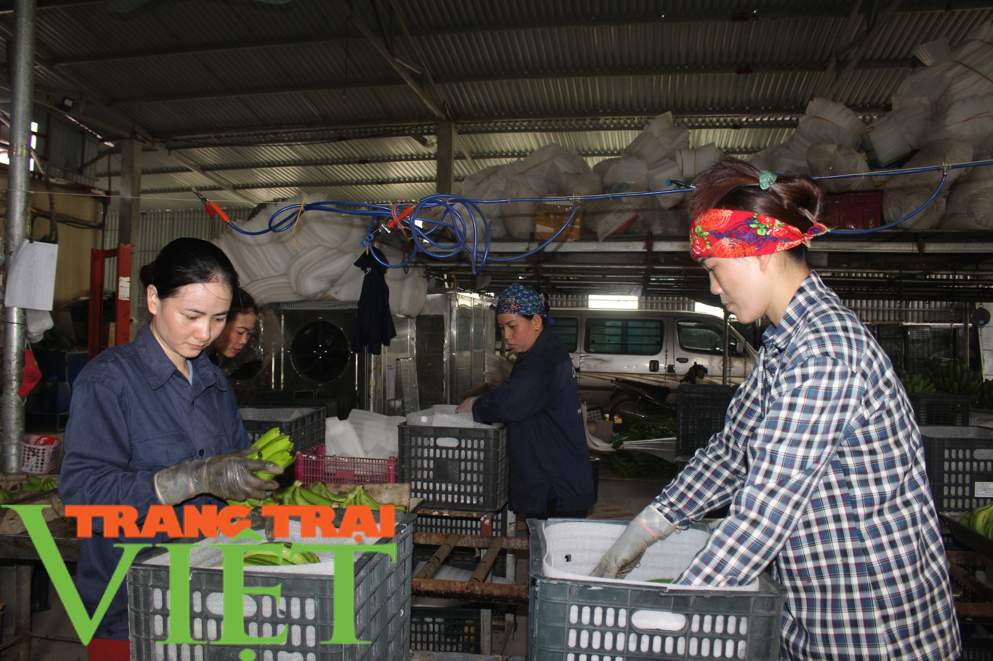 Đại hội Đảng bộ Lương Sơn: Nhiều chỉ tiêu đạt và vượt kế hoạch - Ảnh 4. Đại hội Đảng bộ Lương Sơn: Nhiều chỉ tiêu đạt và vượt kế hoạch - Ảnh 4.