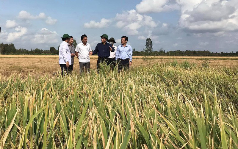Được bao tiêu, nhà nông yên tâm nuôi trồng - Ảnh 1.