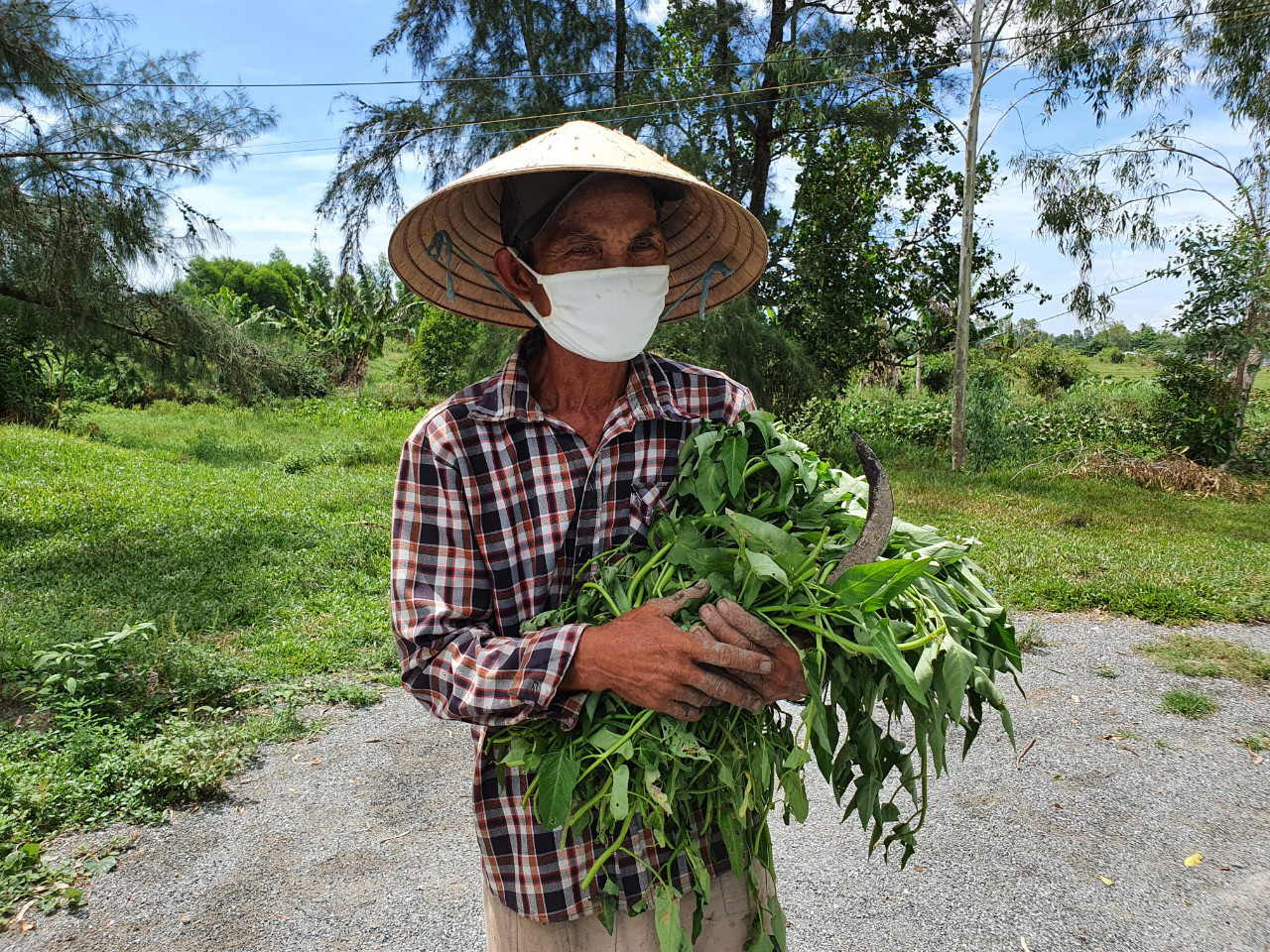 Từ trong &quot;tâm dịch&quot; Covid-19 Đà Nẵng: Người dân sửa sang nhà cửa, trồng rau, nuôi gà... - Ảnh 2.