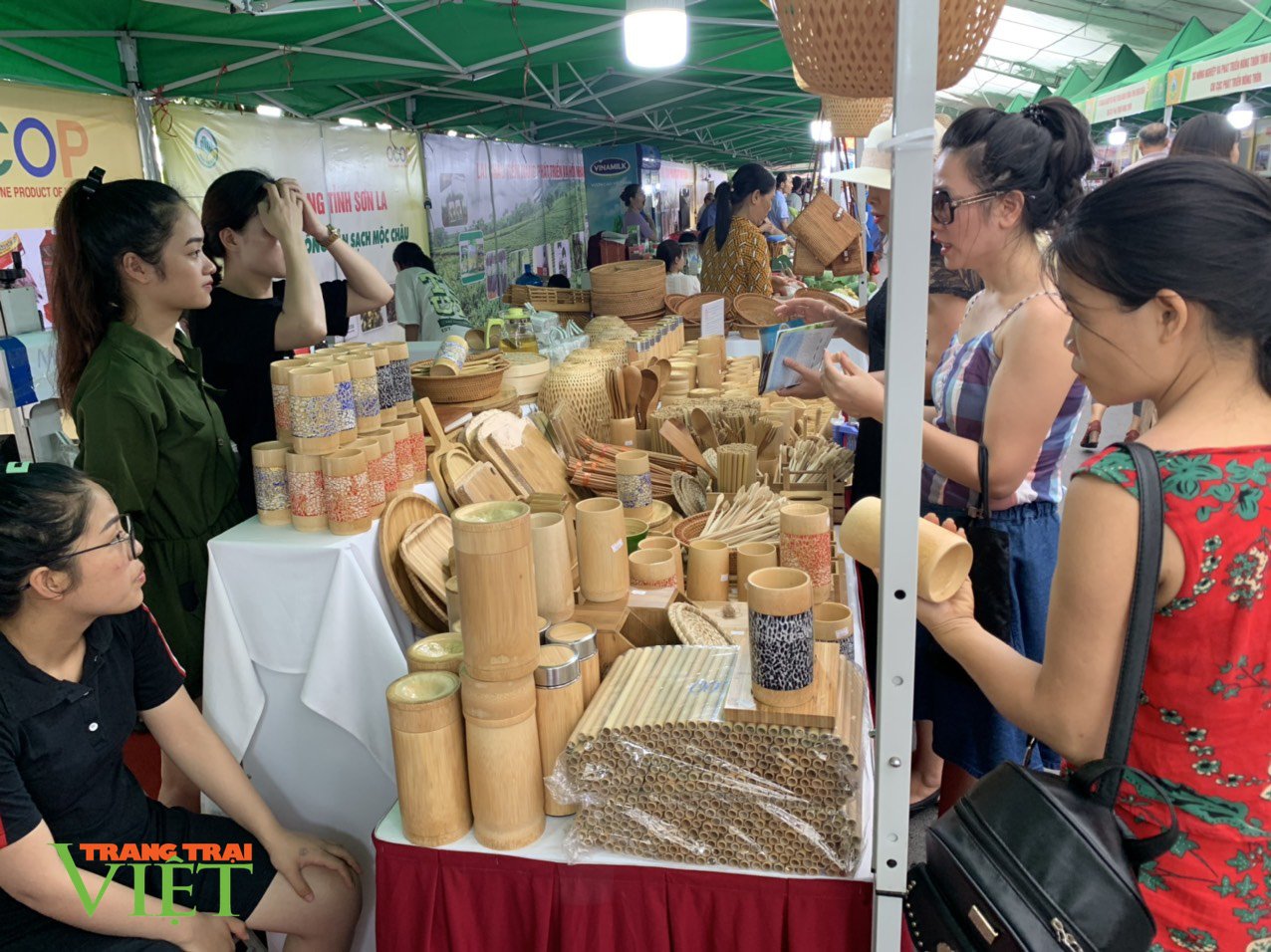 Ống hút tre Sơn La vươn ra thế giới - Ảnh 1. Ống hút tre Sơn La vươn ra thế giới - Ảnh 1.