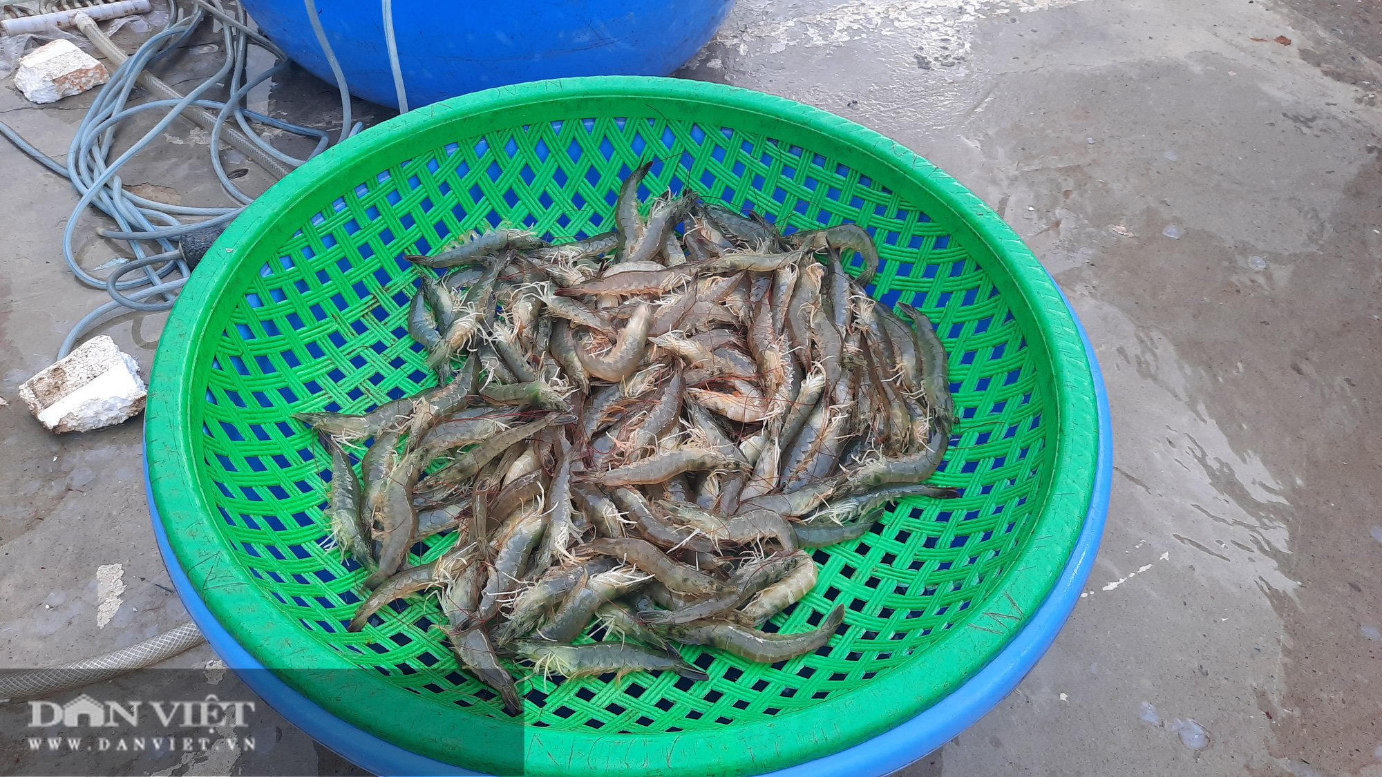 Quảng Ninh: Chuyển khu vực cảng cá Hòn Gai sang địa chỉ mới, người dân và tiểu thương nói gì? - Ảnh 5.