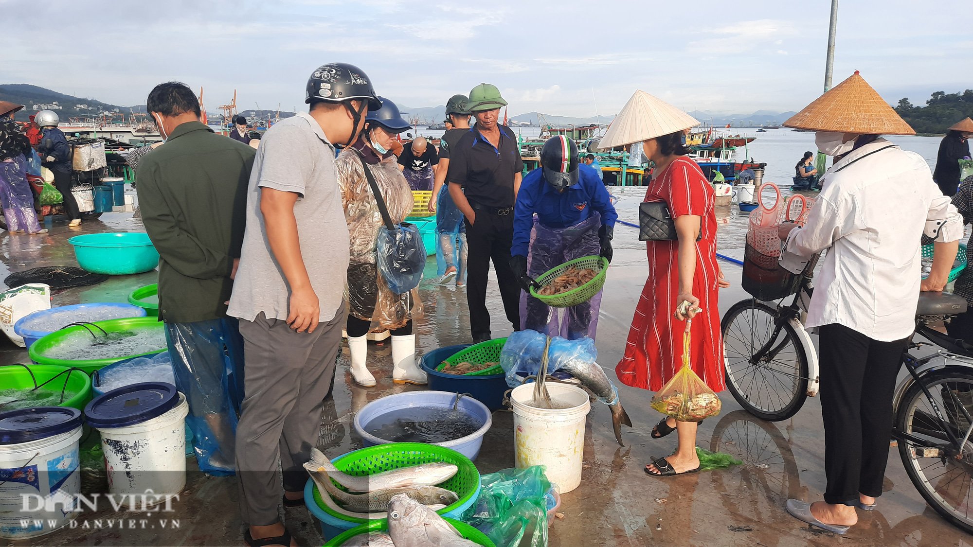 Quảng Ninh: Chuyển khu vực cảng cá Hòn Gai sang địa chỉ mới, người dân và tiểu thương nói gì? - Ảnh 4.