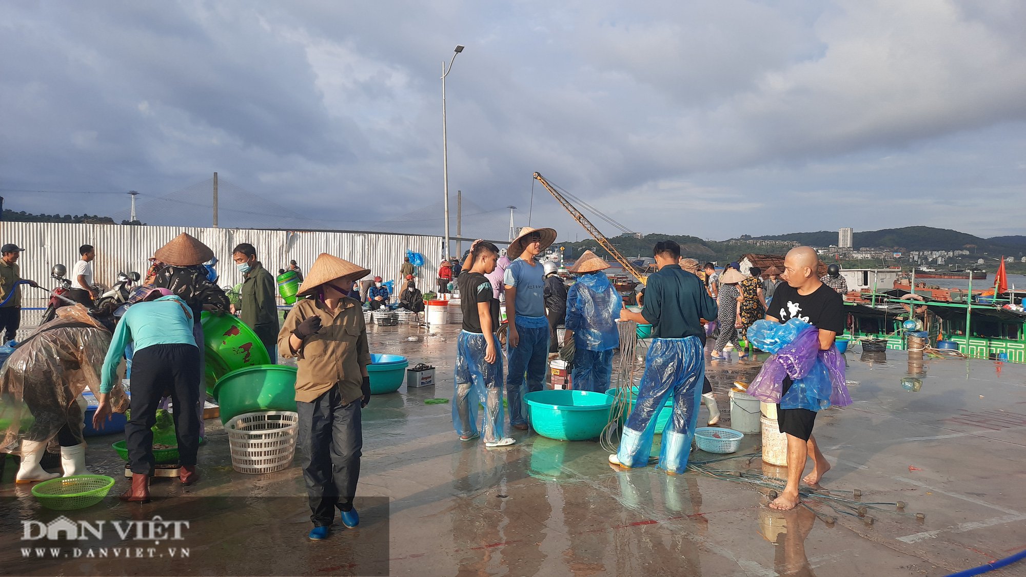 Quảng Ninh: Chuyển khu vực cảng cá Hòn Gai sang địa chỉ mới, người dân và tiểu thương nói gì? - Ảnh 7.