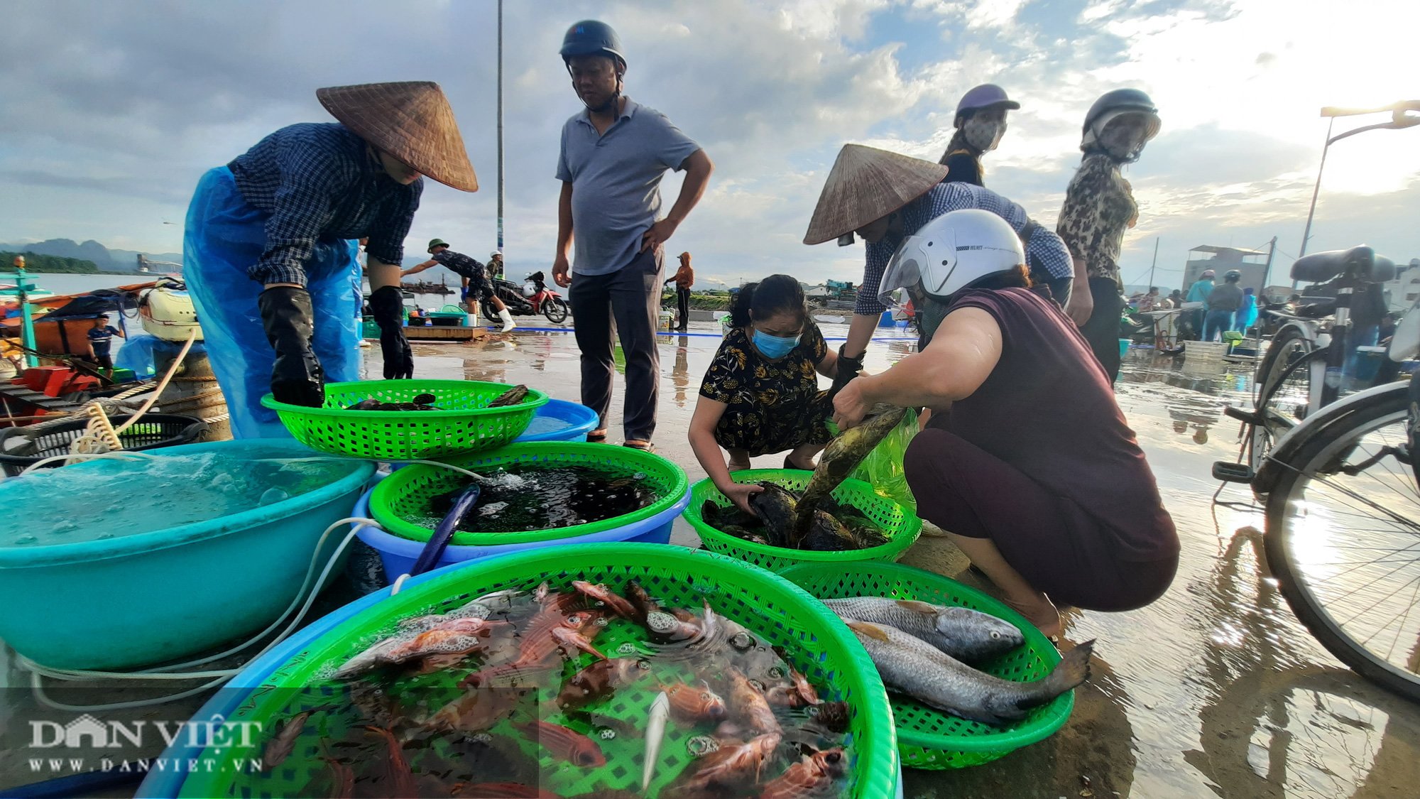 Quảng Ninh: Chuyển khu vực cảng cá Hòn Gai sang địa chỉ mới, người dân và tiểu thương nói gì? - Ảnh 2.