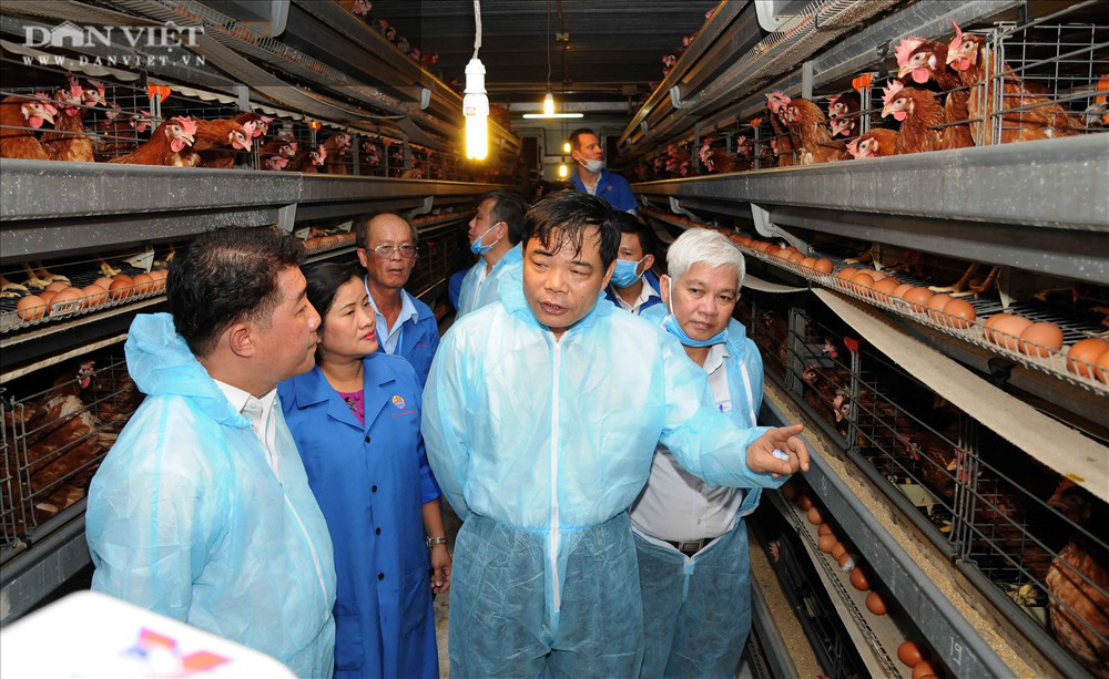 Bộ trưởng Nguyễn Xuân Cường chỉ rõ điểm yếu nhất của ngành nông nghiệp là gì? - Ảnh 3.