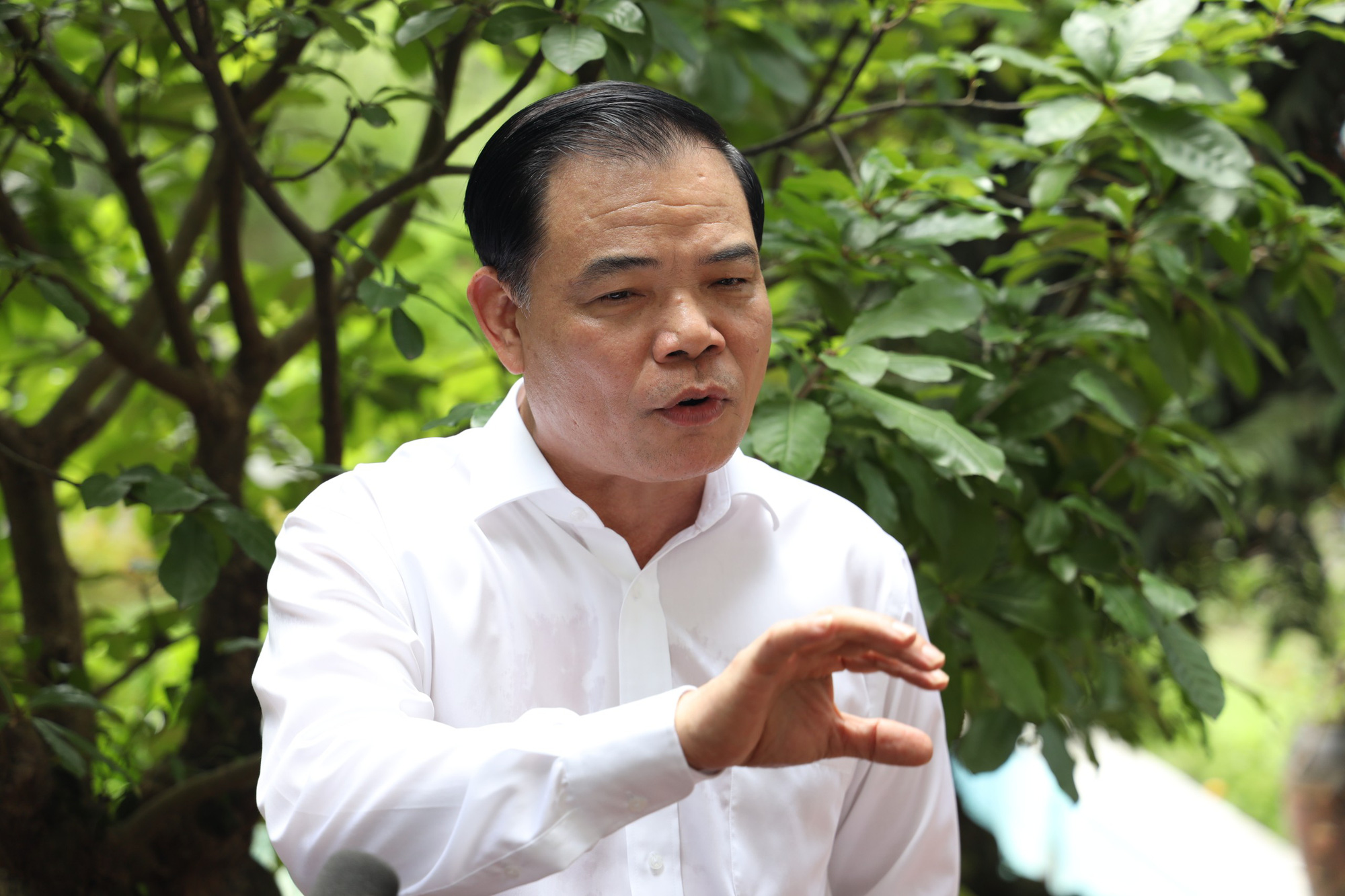 Bộ trưởng Bộ NNPTNT: Thị trường EU là tín chỉ chứng minh giá trị nông sản Việt - Ảnh 1.