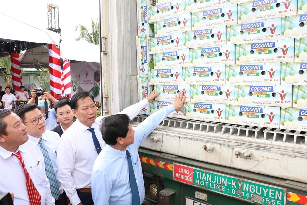 Được hưởng thuế suất ưu đãi chưa từng có, dừa, bưởi, thanh long Bến Tre &quot;rủ nhau&quot; xuất sang châu Âu - Ảnh 2.