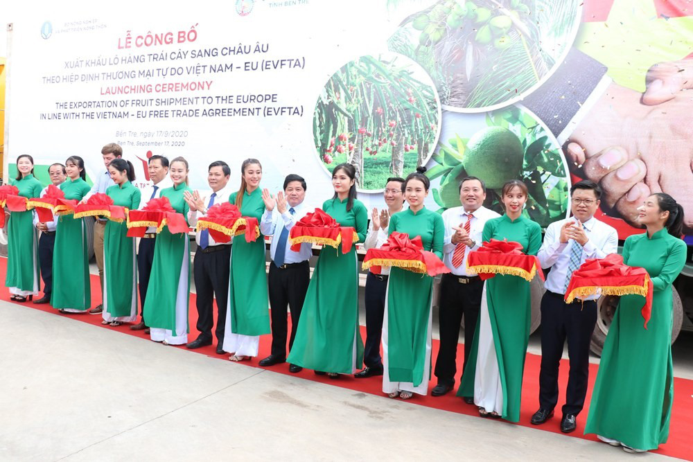 Dừa, bưởi và thanh long Bến Tre chính thức xuất sang châu Âu - Ảnh 1.