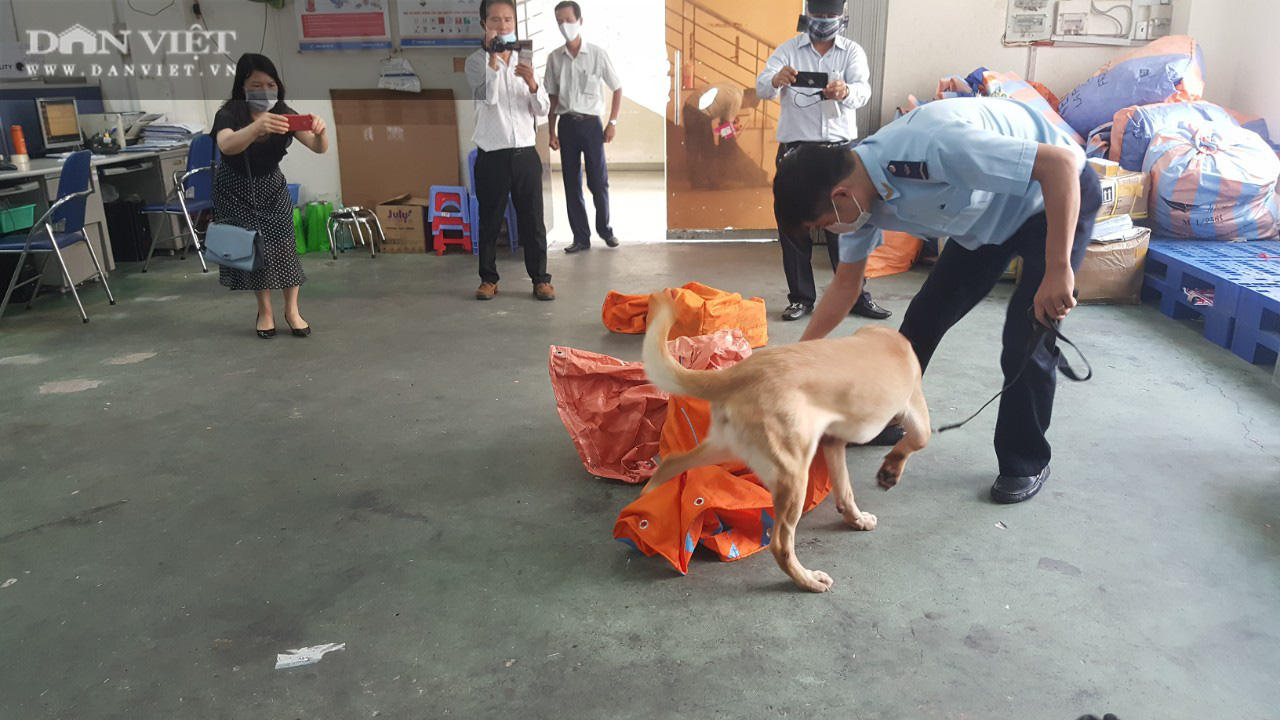 Bài 2: Thủ đoạn ngày càng tinh vi, thủ phạm tinh ranh, biến hóa khôn lường - Ảnh 4.