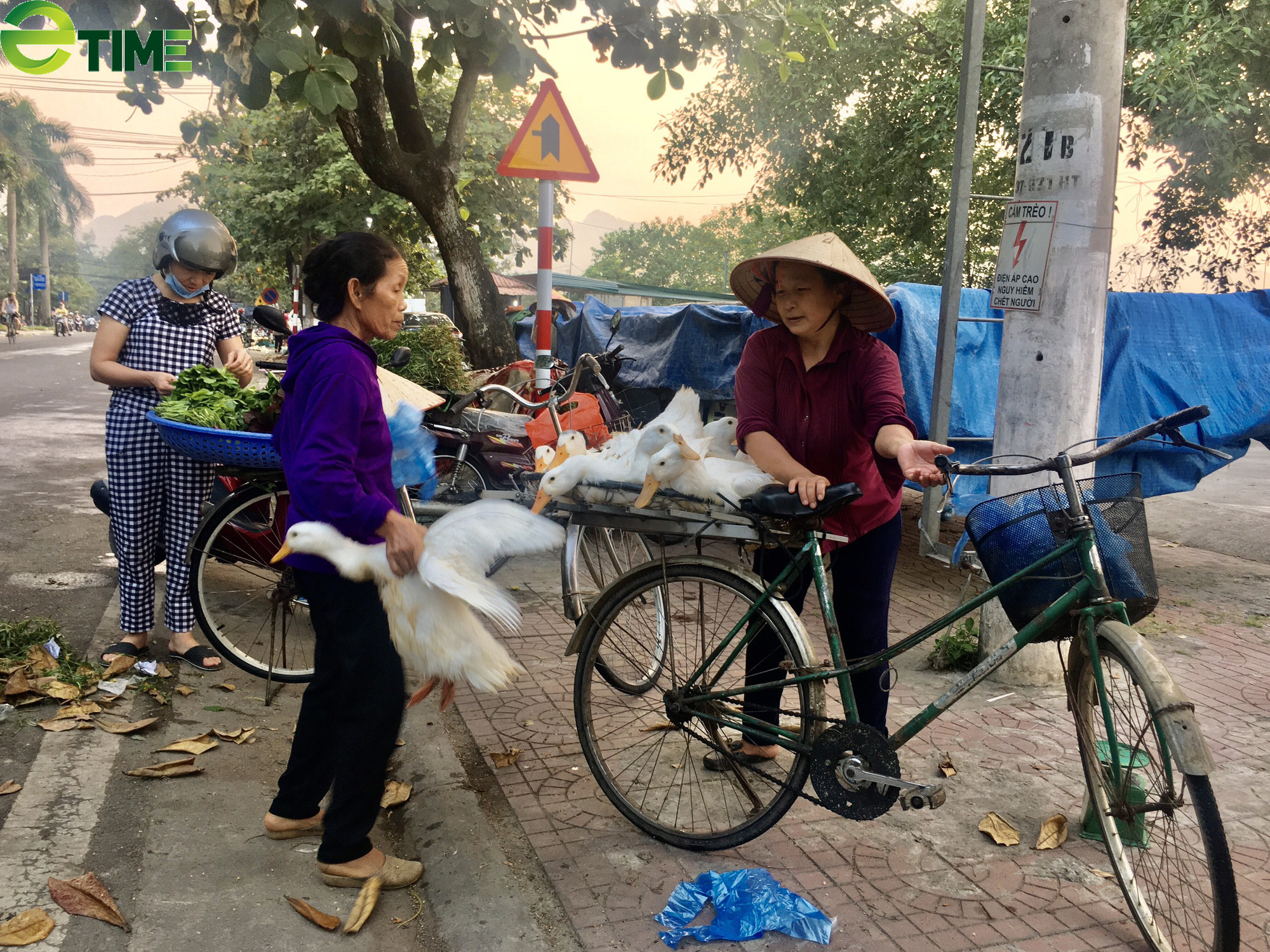Rằm tháng 7 giúp hồi phục thị trường gia cầm - Ảnh 1. Rằm tháng 7 giúp hồi phục thị trường gia cầm - Ảnh 1.