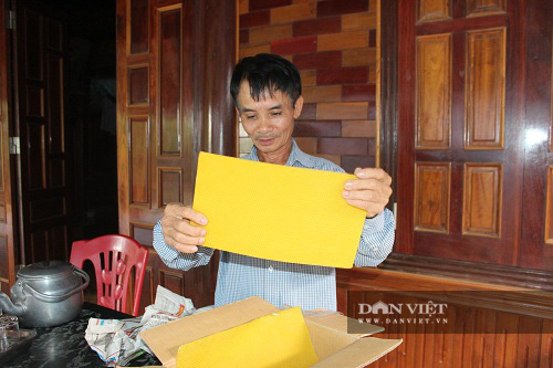 Hà Tĩnh: Cho ong sống dưới tán bưởi, lợi nhuận kép - Ảnh 5.