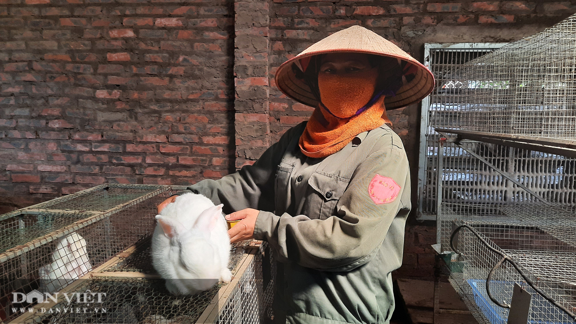Quảng Ninh: Nuôi đủ con không &quot;ra ngô ra khoai&quot;, đến loài lông trắng mắt đỏ thì lại khấm khá - Ảnh 2.